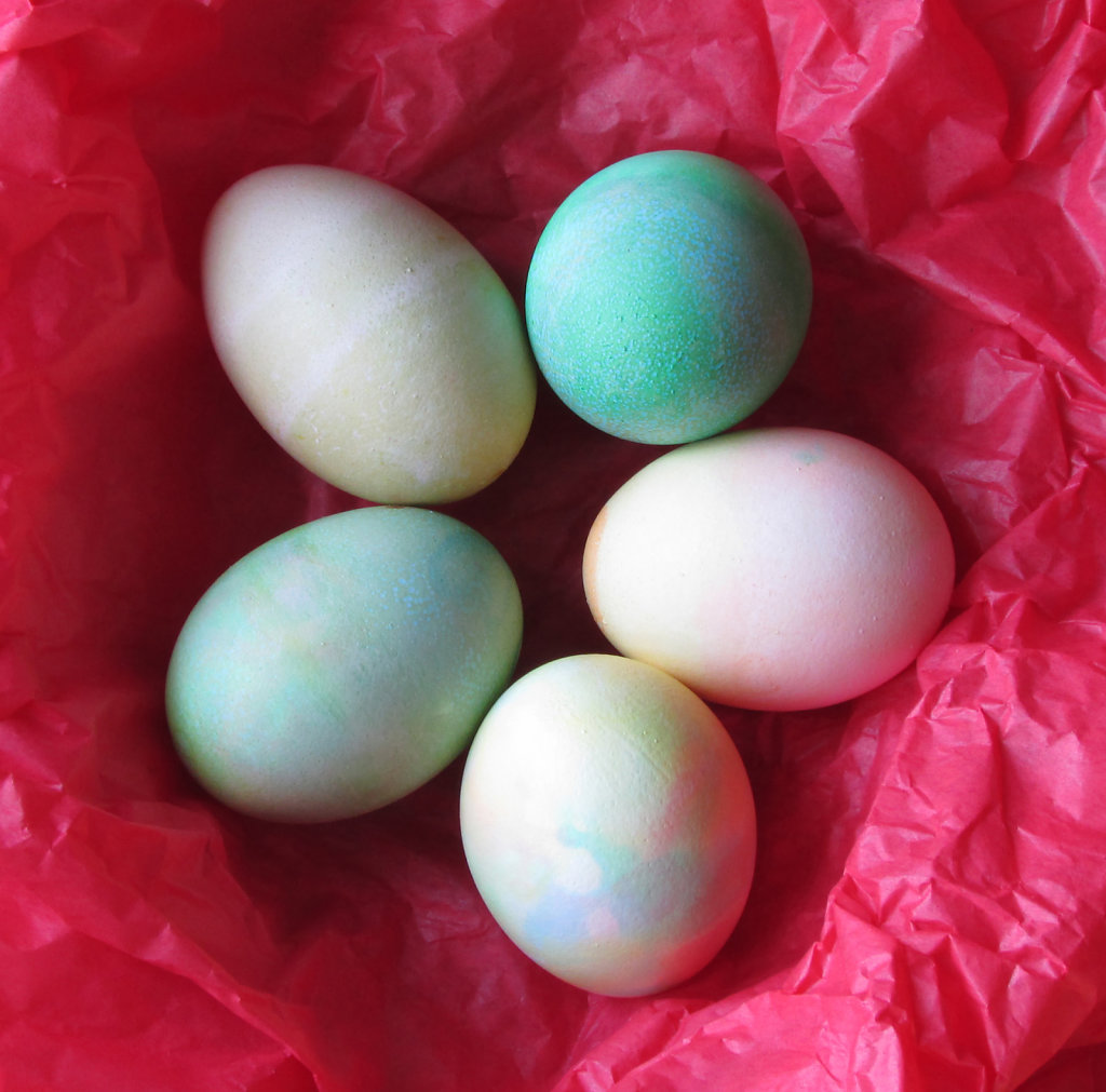 Pastel ed eggs on red tissue paper picture