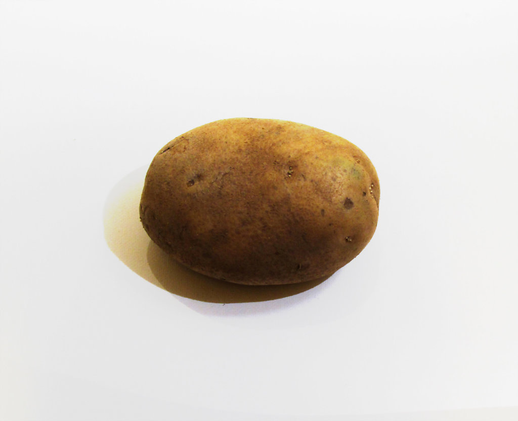 Lone potato on a white background