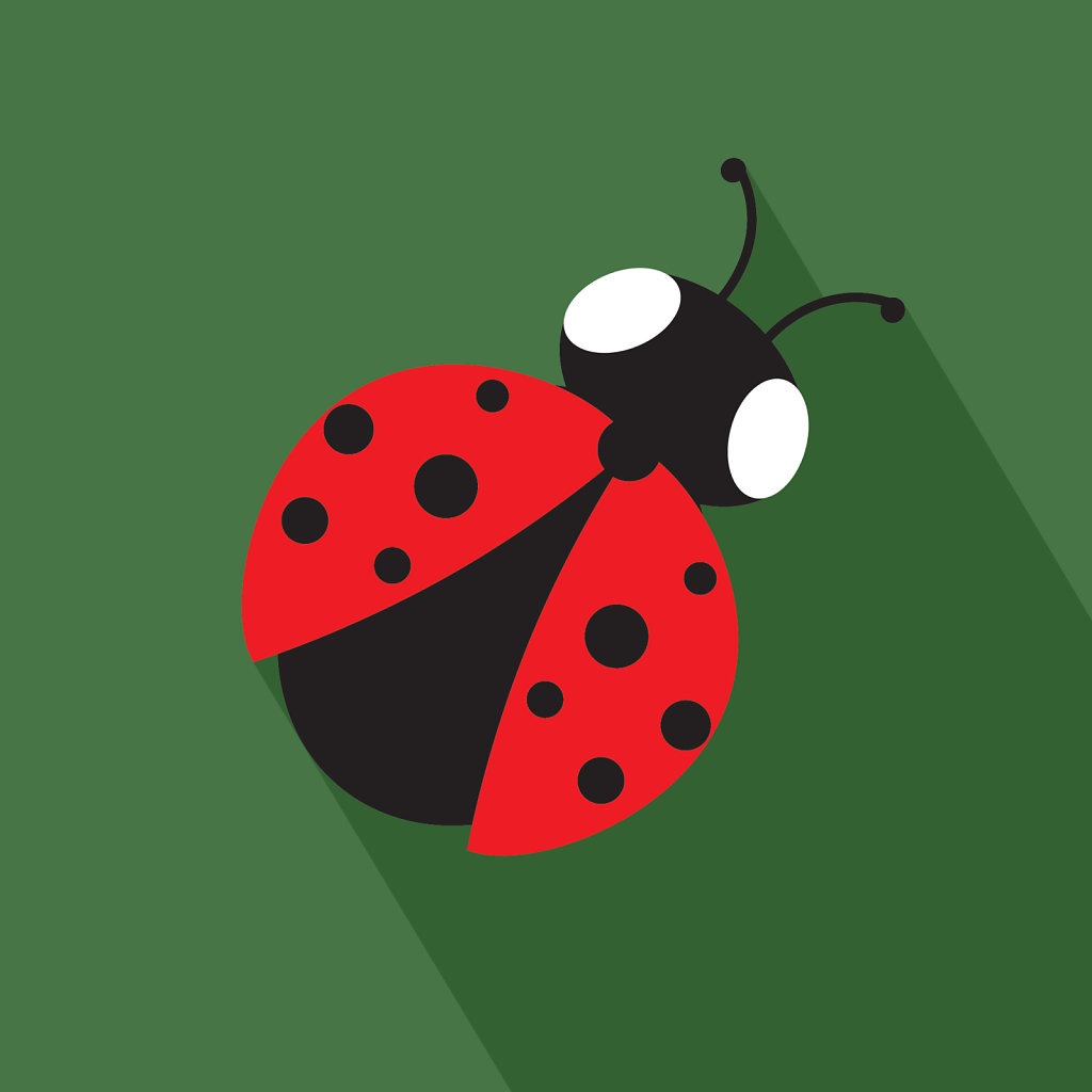 Ladybug illustration on a green background flat design inspired