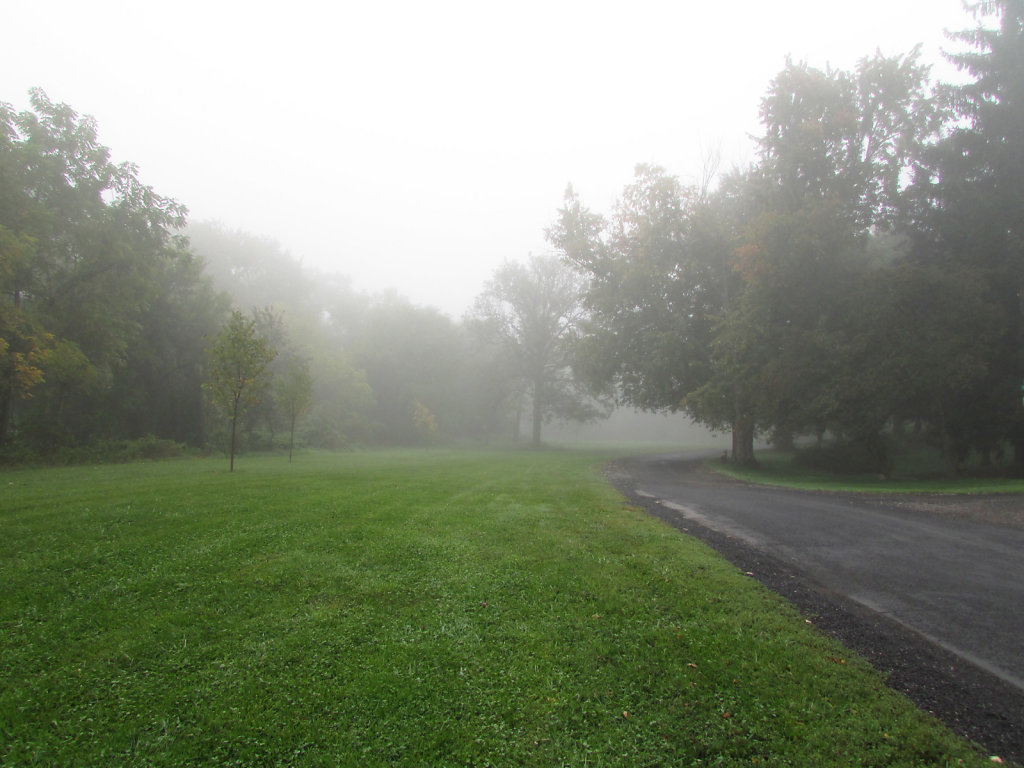 Summer fog weather picture