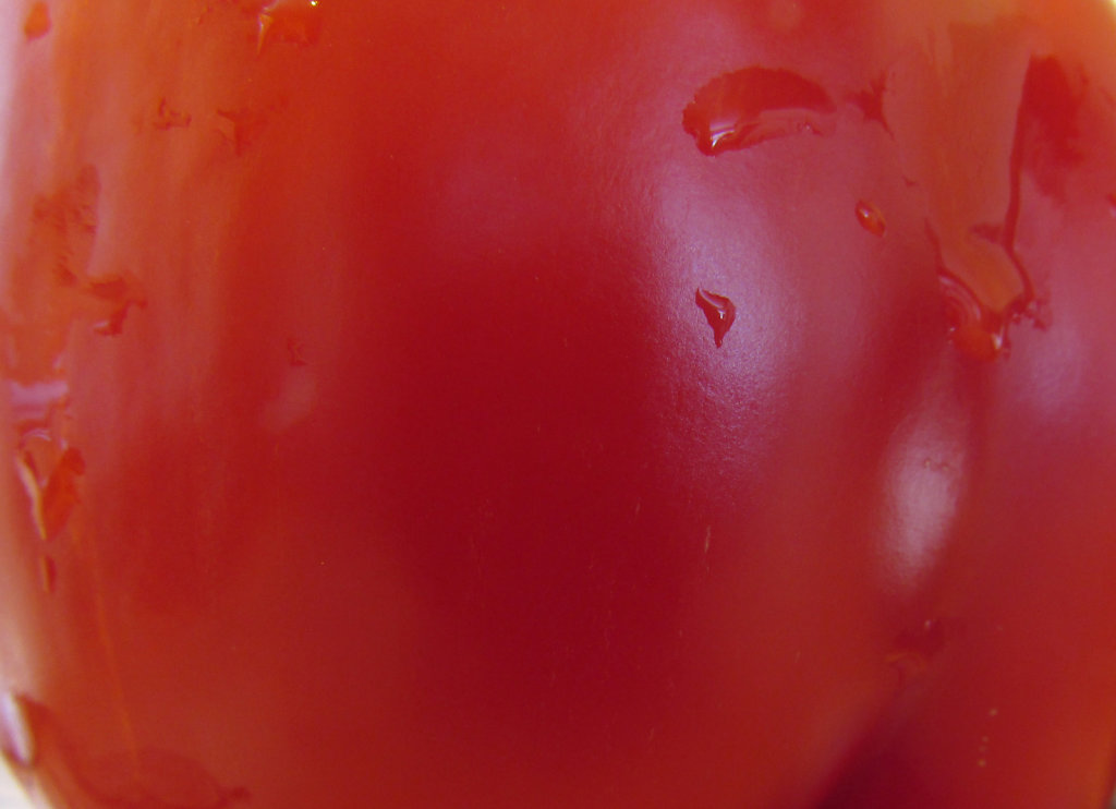 Red bell pepper with water droplets