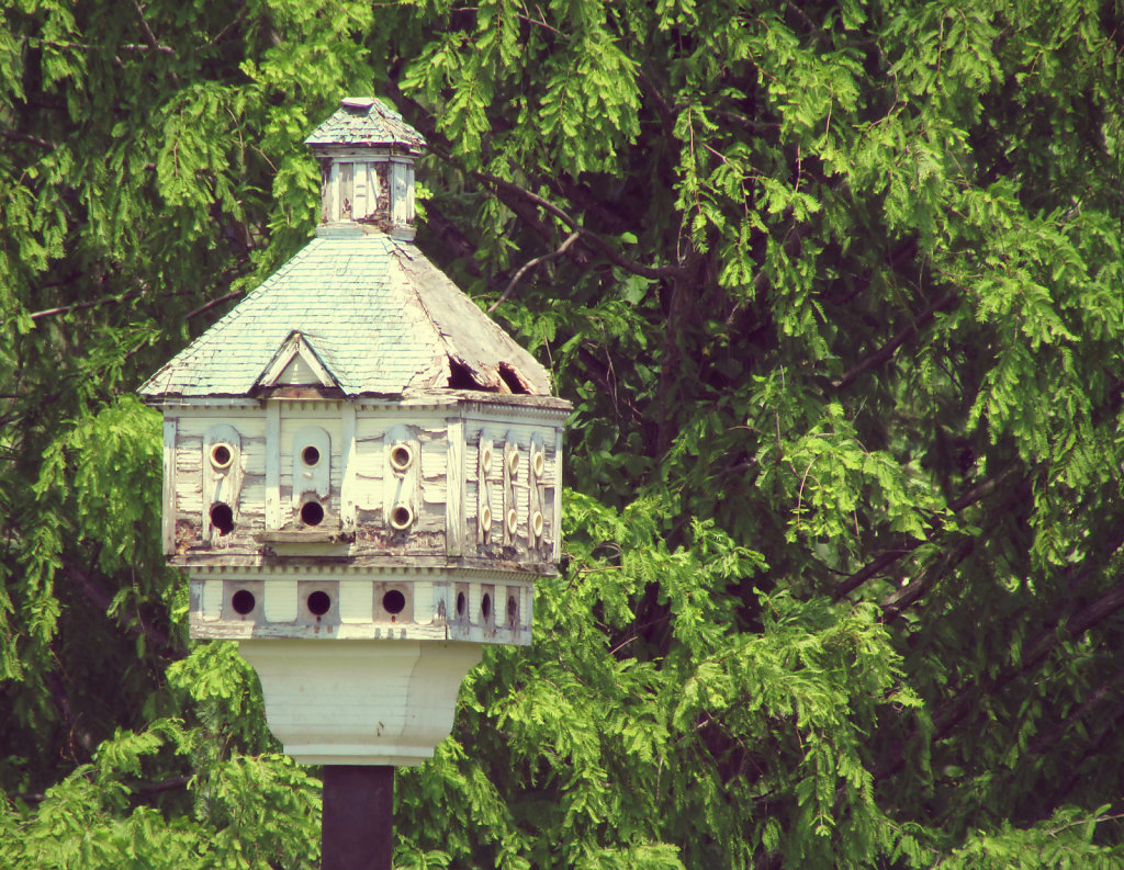 Bird house with trees