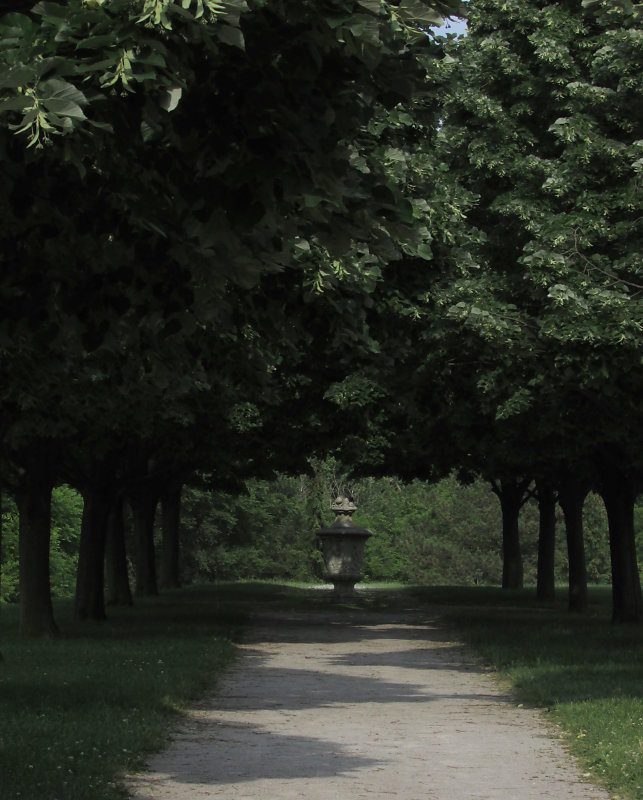 Stone and gravel path in shade picture - Free stock photos, images ...